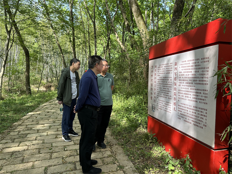 “追尋紅色足跡，擁抱生態(tài)夏意”-夏日團建活動3