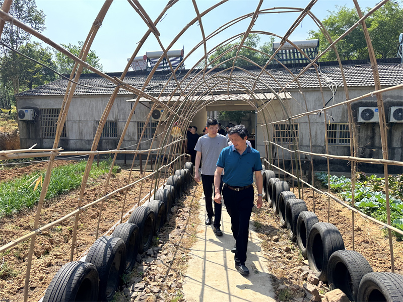 “追尋紅色足跡，擁抱生態(tài)夏意”-夏日團建活動10