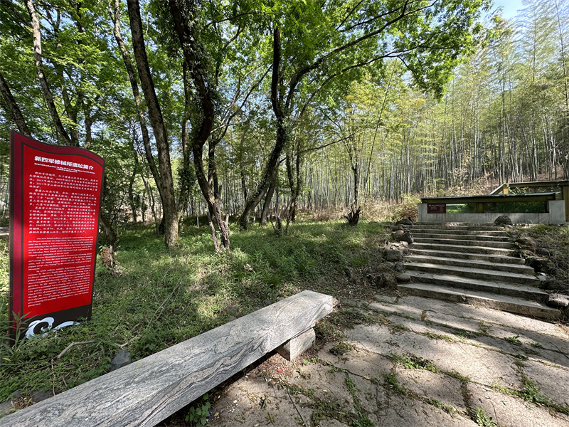 “追尋紅色足跡，擁抱生態(tài)夏意”-夏日團建活動2